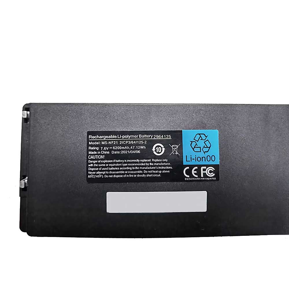 MS-NF21 Batterie